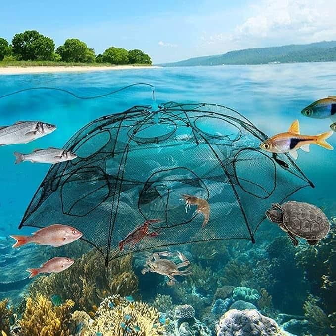 Premium Foldable Umbrella Fishing Net (Multi-Catch Trap)
